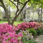 7-Sank-Park 7-Sank-Park