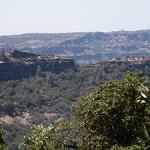 view view