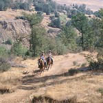 HorseTrail HorseTrail