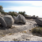 baldrockanimation