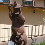 gold-nugget-museum-bears