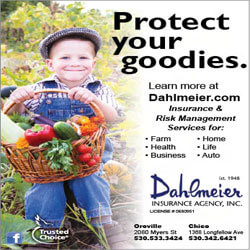 Dahlmeier Insurance