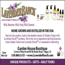 Lavender Ranch