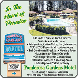 Ponderosa Gardens Motel