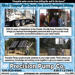 Precision Pump