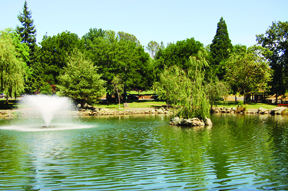Paradise park lake