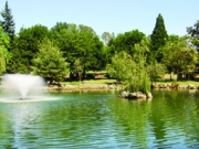 Paradise park lake