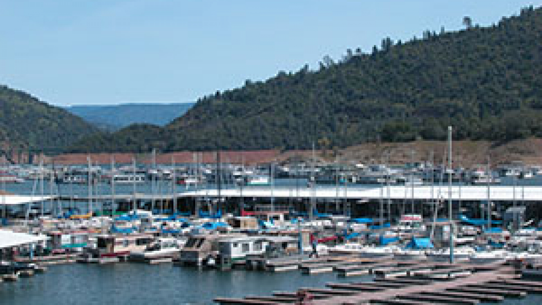 Bidwell Marina