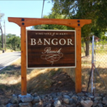 Bangor Winery