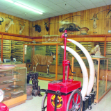 Huntington's Sportsman's Store