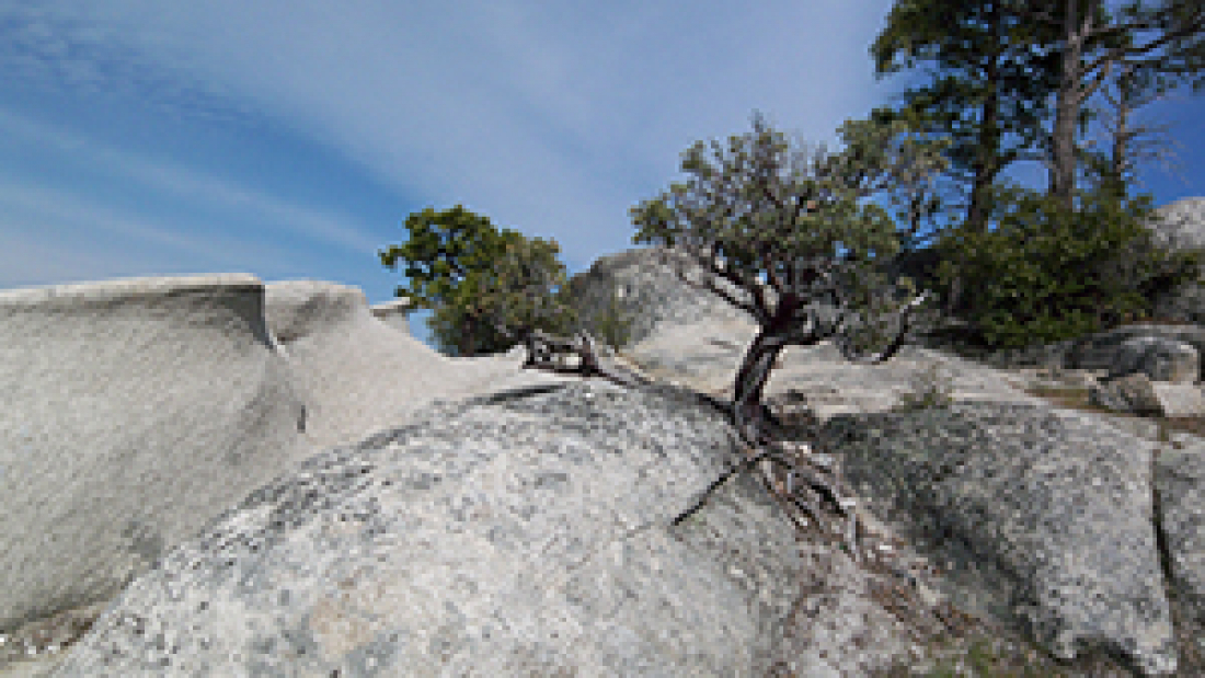 Bald Rock