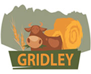 Things to do in Gridley California